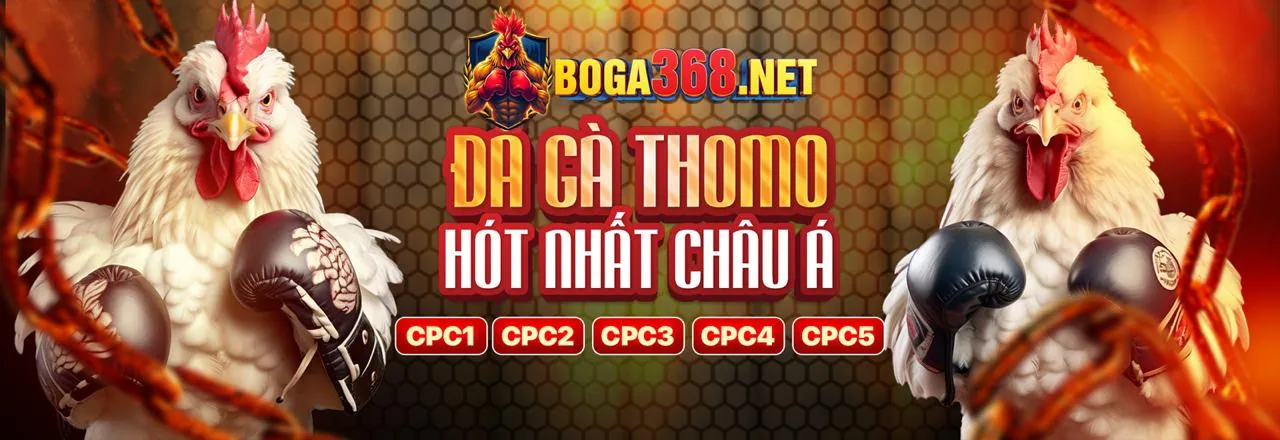 Hình ảnh minh họa các bước đăng ký tài khoản bj888