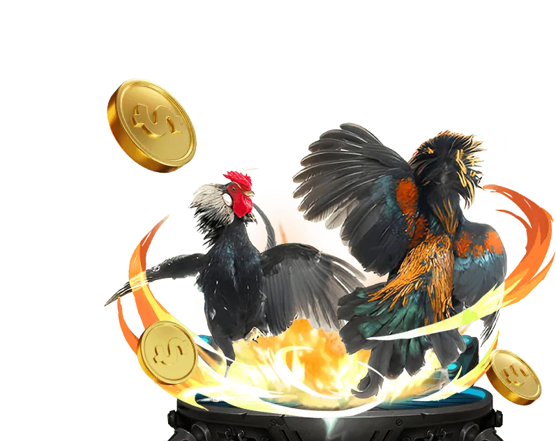 Hình ảnh chiến lược cá cược thể thao BJ888